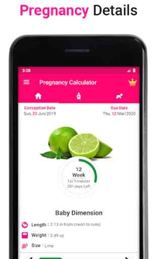 Pregnancy Calculator -Track Pregnancy Week by Week 3