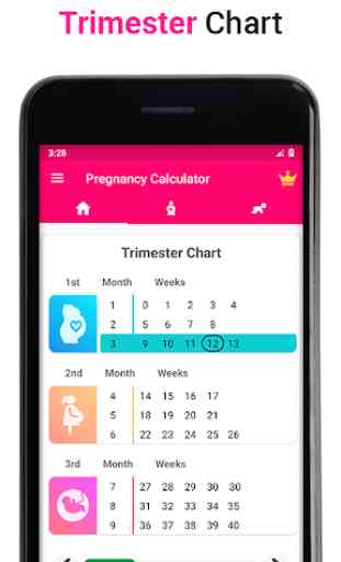 Pregnancy Calculator -Track Pregnancy Week by Week 4