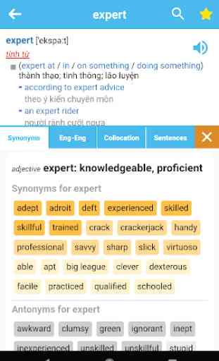 ProDict - English Vietnamese Dictionary 1