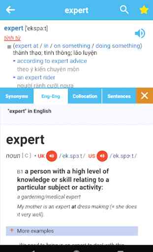ProDict - English Vietnamese Dictionary 2