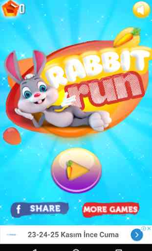 Rabbit Run 1