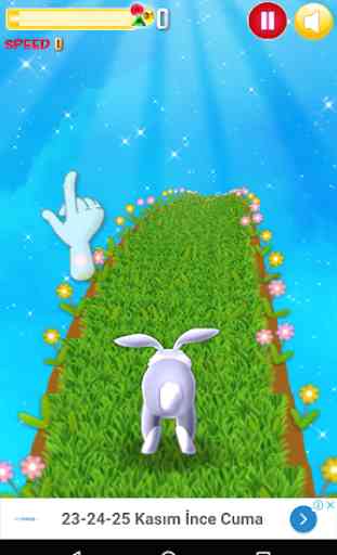 Rabbit Run 4