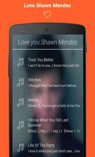 Shawn Mendes Lyrics 3
