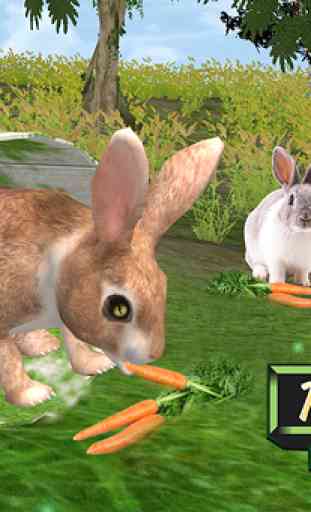 Ultimate Rabbit Simulator 1