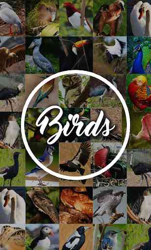 Bird Encyclopedia 1