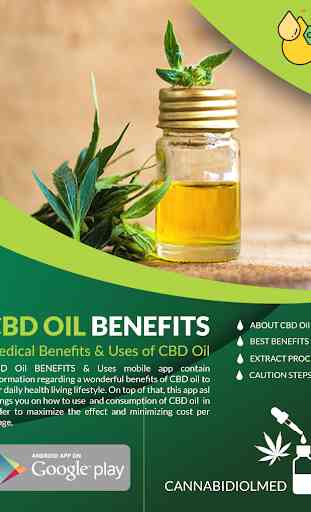 CBD Oil Health Benefits & Uses 1