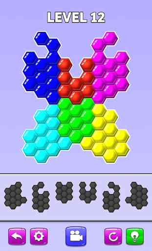 Color Match Puzzle - Fill the Hexa Board 3