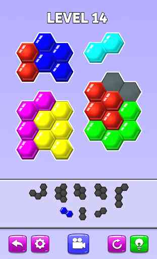 Color Match Puzzle - Fill the Hexa Board 4