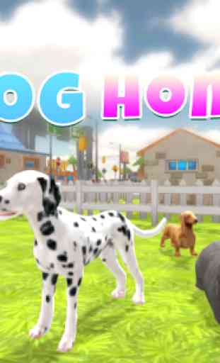 Dog Home 1