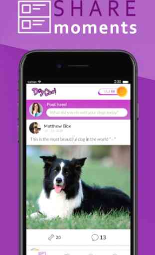 DogCha! Dog Owners Social Community 1