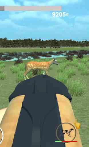Hunting Simulator Game. The hunter simulator 4