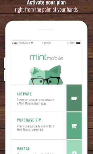 Mint Mobile 1