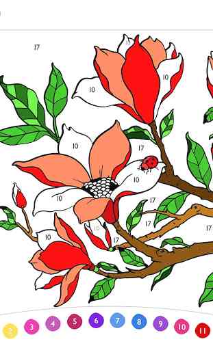 Paint by Number: Free Coloring Book 1