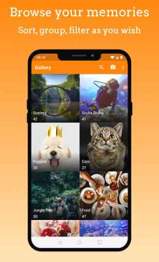 Simple Gallery Pro - Photo Manager & Editor 1