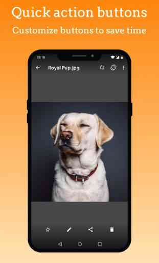 Simple Gallery Pro - Photo Manager & Editor 3