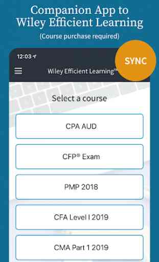 Wiley Efficient Learning 1