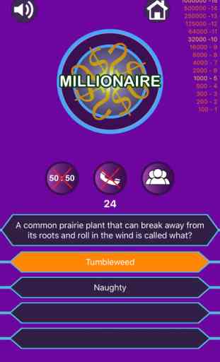Millionaire - want to be Millionaire 2