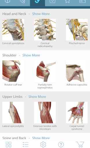 Muscle Premium - Human Anatomy, Kinesiology, Bones 2
