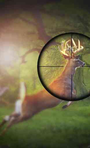 Classic Deer Hunter 2018: Wild Hunter Sniper Game 3