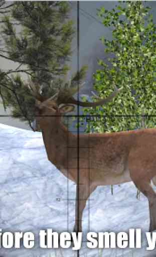 Deer Hunter Game Free 4