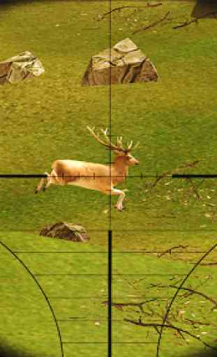 Deer Sniper Hunter 2020 3