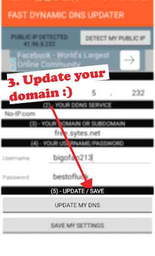 Fast Dynamic DNS Updater 4