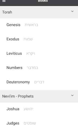 Hebrew Bible Now - Tanakh 1