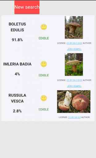 Mushroom identification from photos 1