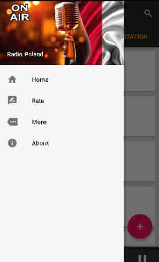 Polish Radio Stations 4