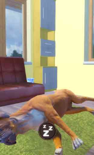 Boxer Dog Simulator 2