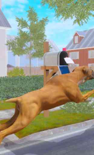 Boxer Dog Simulator 3