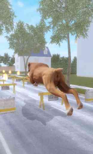 Boxer Dog Simulator 4