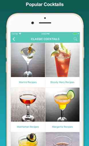 Cocktail Recipes, mixed drinks 2
