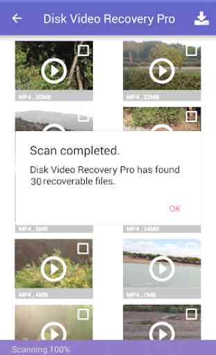 Disk Video Recovery Pro 4