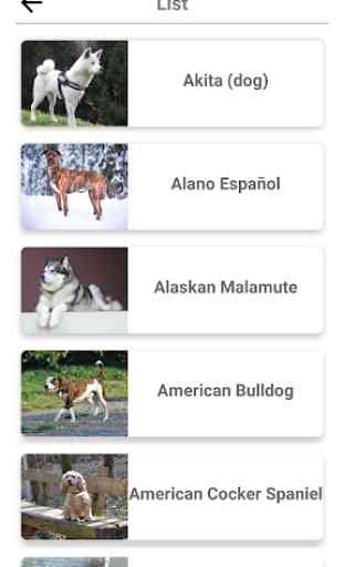 Dog Breeds - Quiz about all dogs of the world! 4
