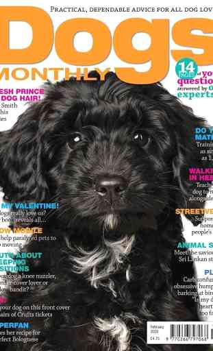 Dogs Monthly Magazine 1