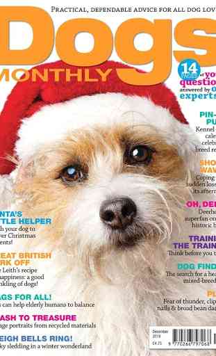 Dogs Monthly Magazine 3