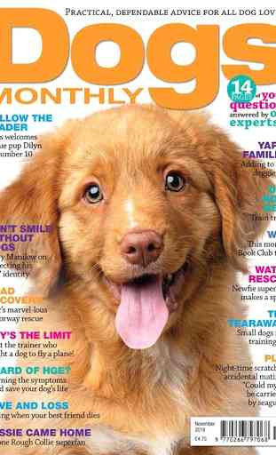 Dogs Monthly Magazine 4