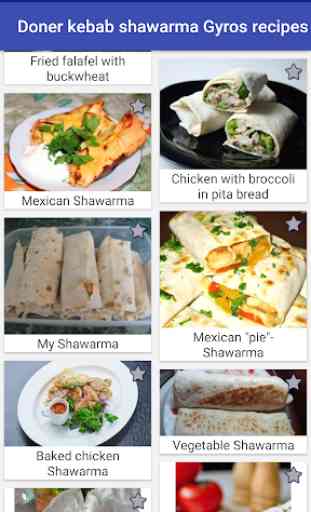 Doner Kebab Shawarma Gyros Recipes 1
