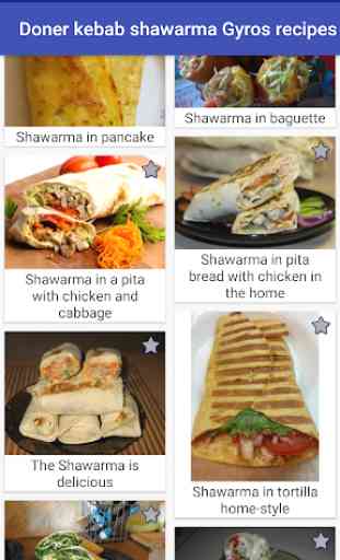 Doner Kebab Shawarma Gyros Recipes 3