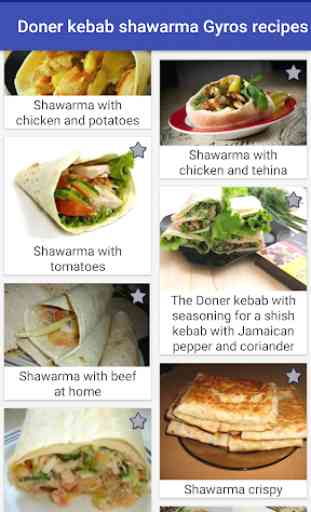 Doner Kebab Shawarma Gyros Recipes 4