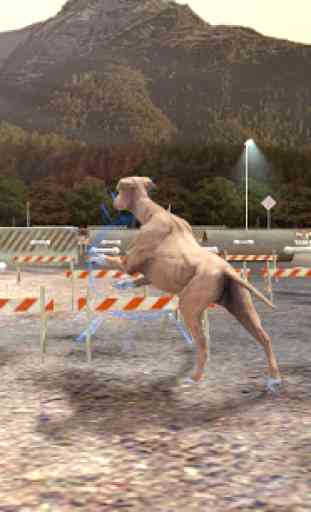 Greyhound Dog Simulator 4