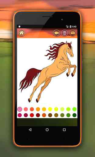Horse Coloring Book 3
