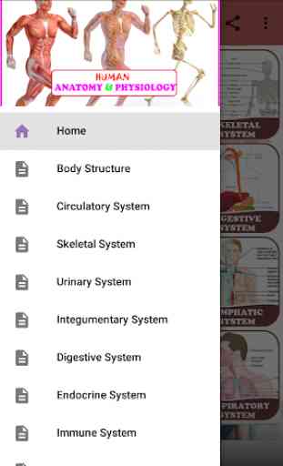 Human Anatomy and Physiology: With Illustrations 1