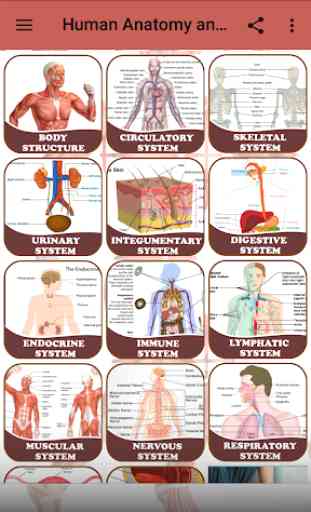 Human Anatomy and Physiology: With Illustrations 2