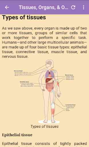 Human Anatomy and Physiology: With Illustrations 3
