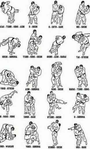 Judo Fighting Techniques 3