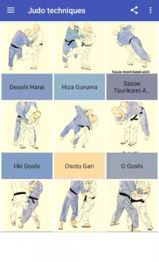 Judo techniques 1