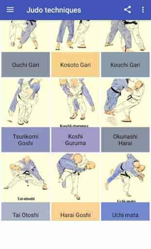 Judo techniques 2