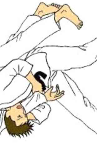 learn judo techniques 2